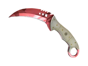 ★ Talon Knife | Slaughter (Factory New)